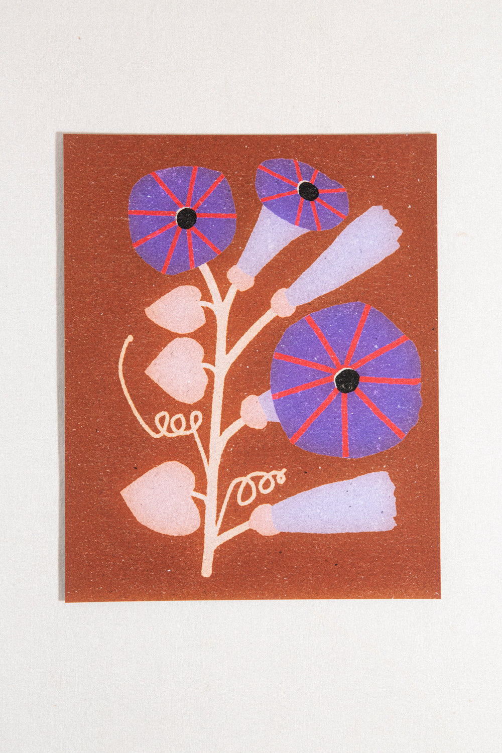 Morning Glory Print