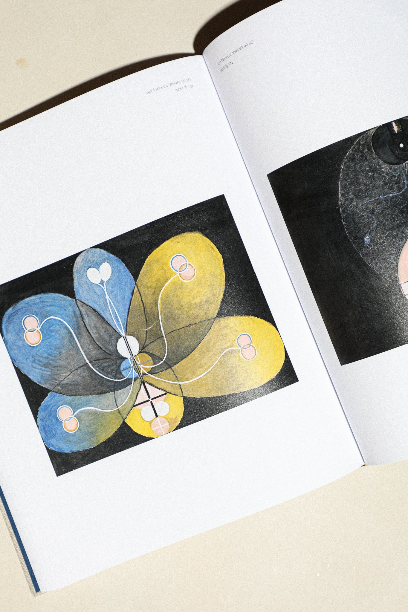 Hilma af Klint: The Paintings for the Temple 1906–1915