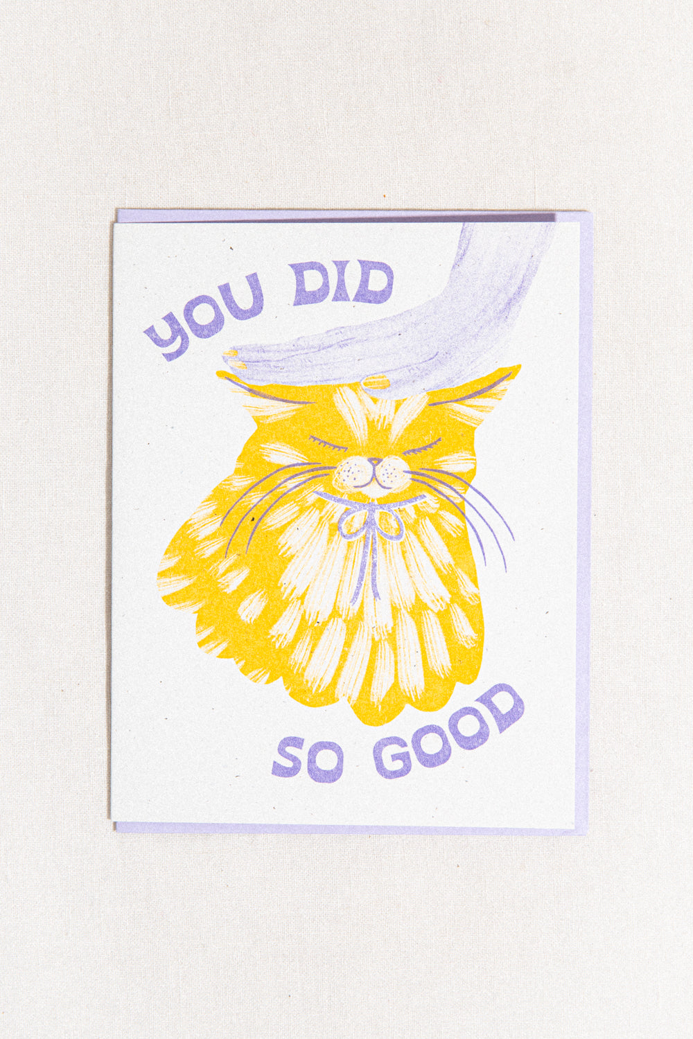 Did So Good Cat Greeting Card