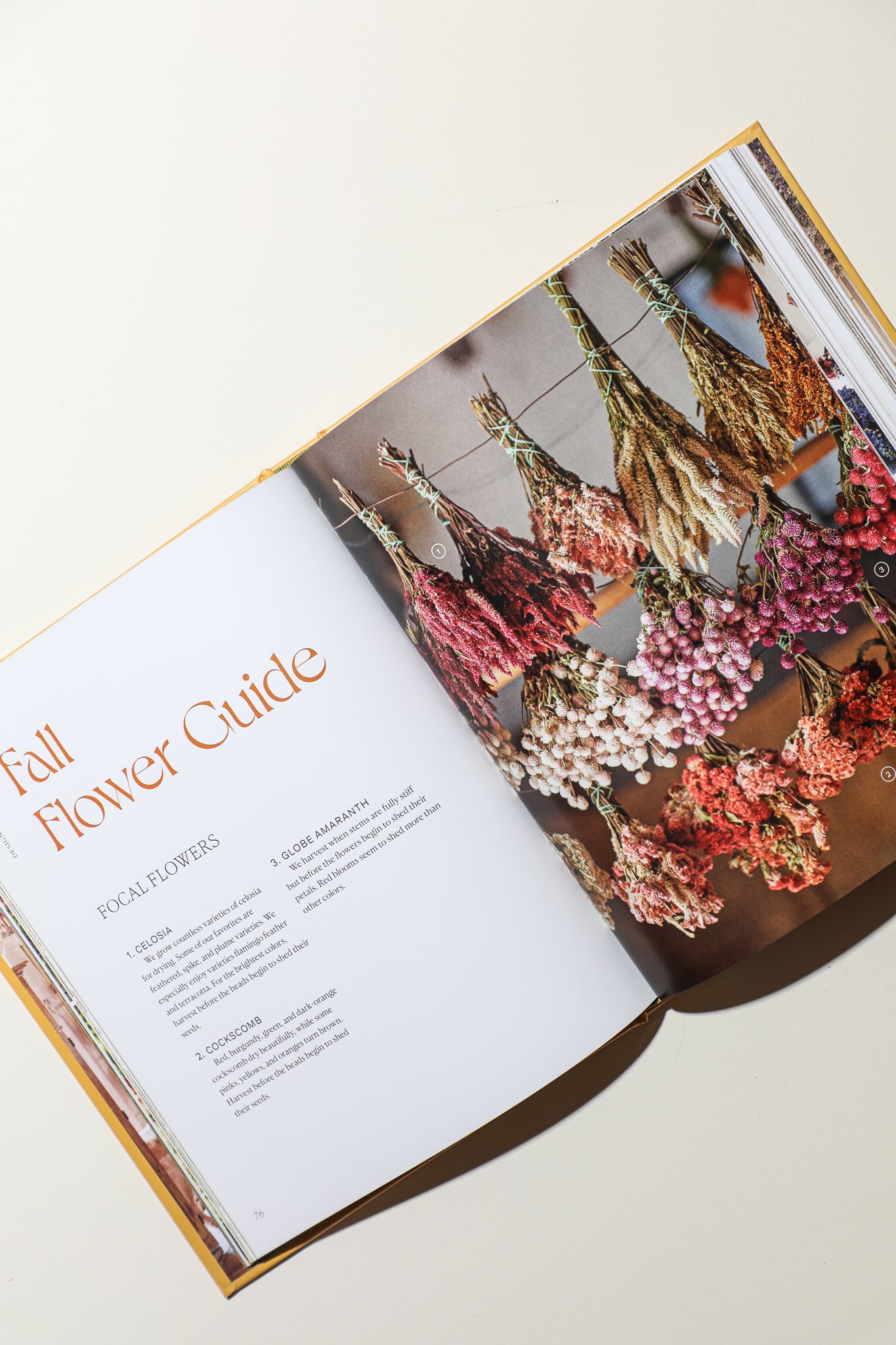 Designing with Dried Flowers