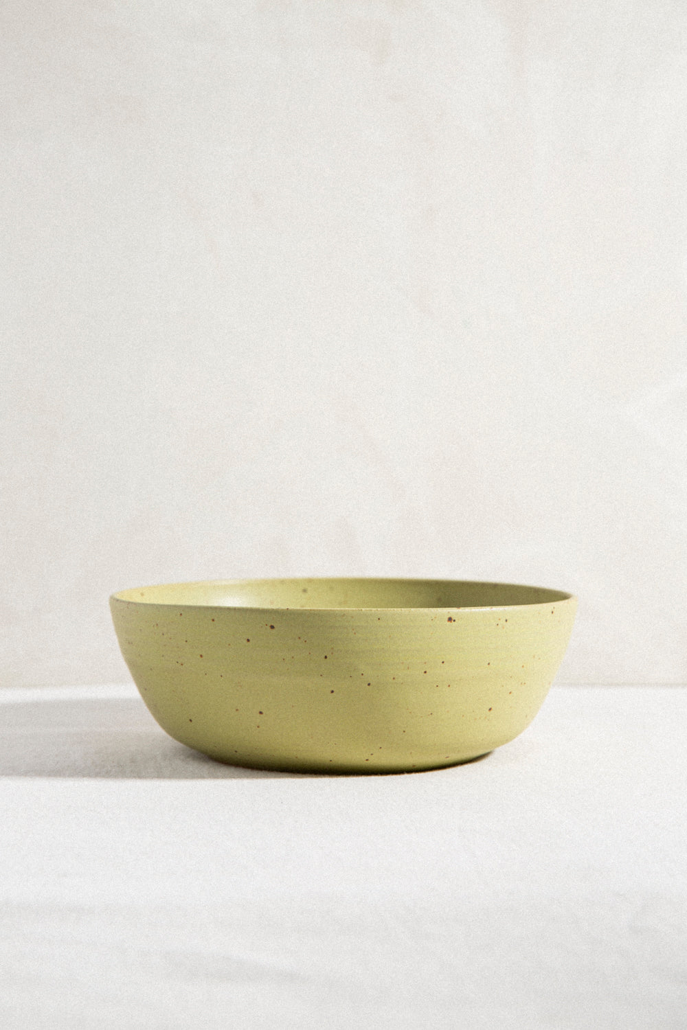 Dinner Bowl / No. 01