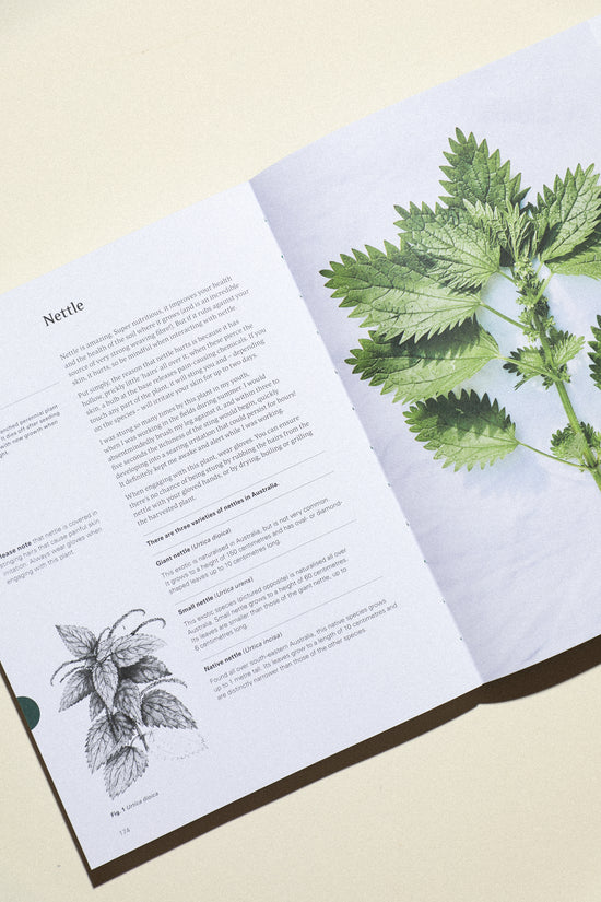 Eat Weeds: A Field Guide To Foraging