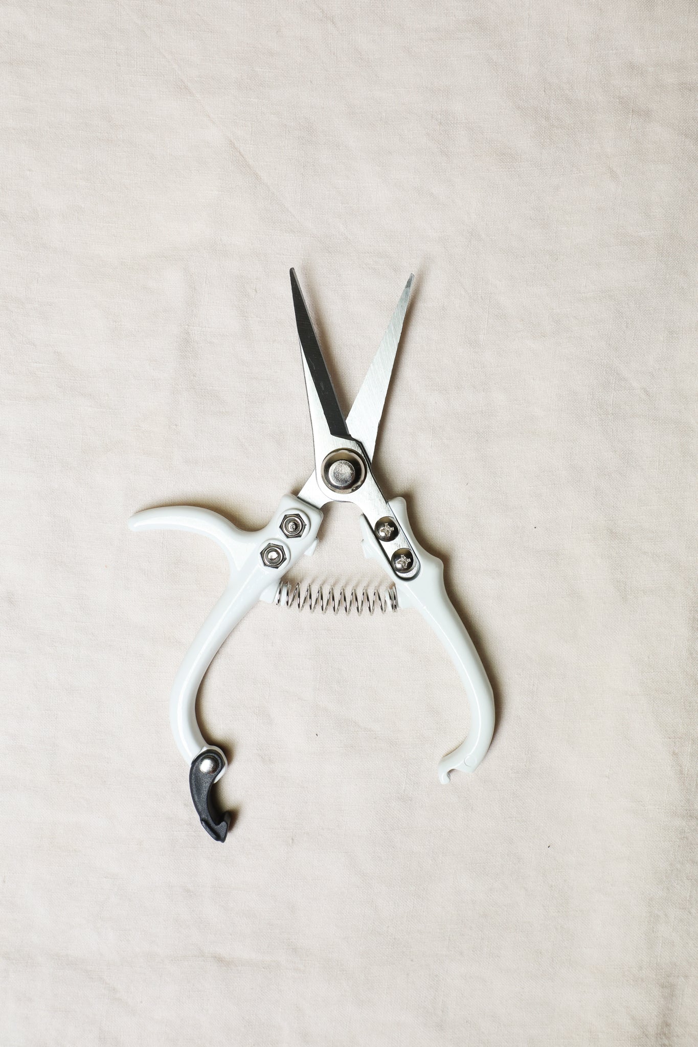 Pruning Shears