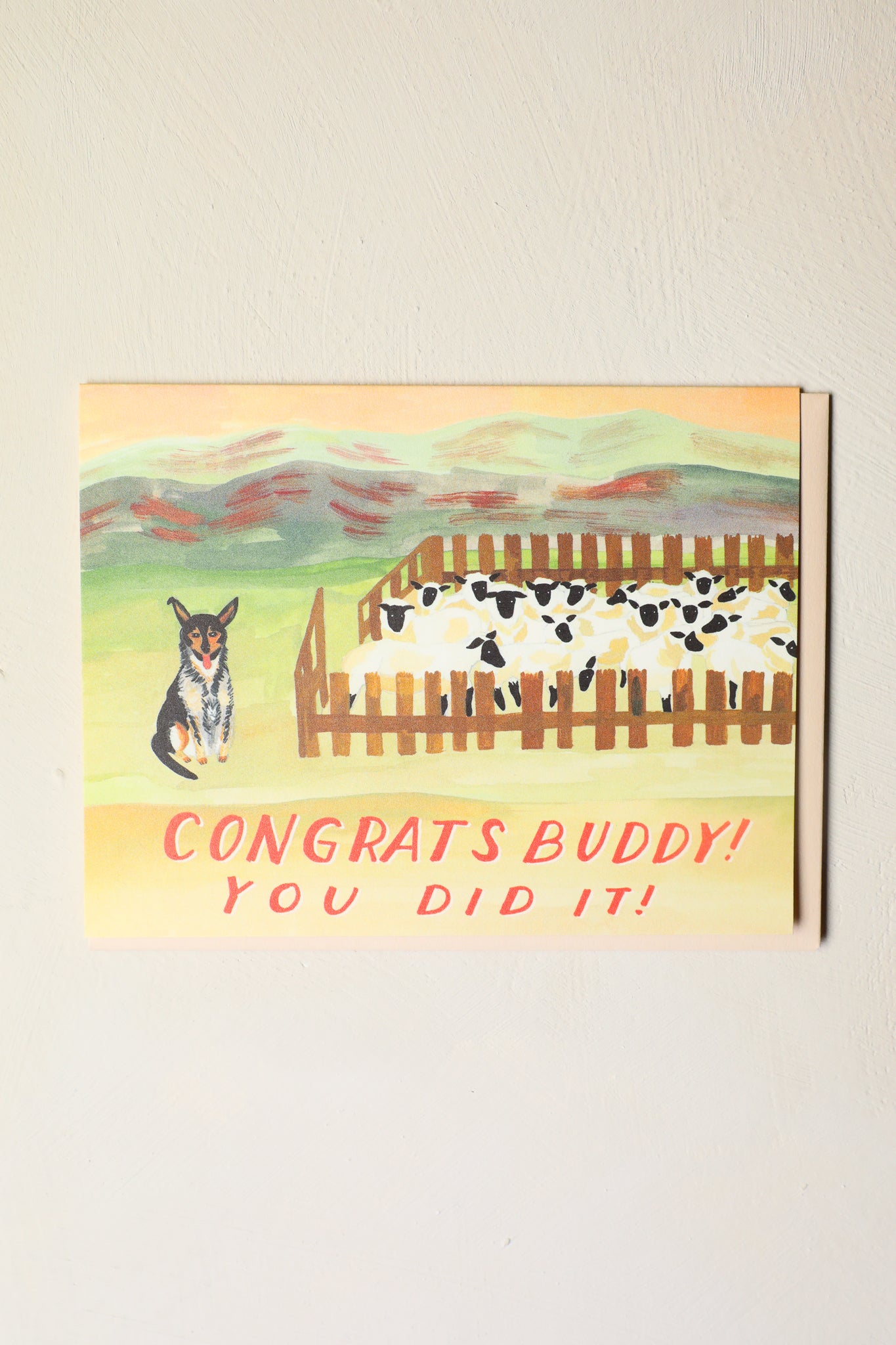 Sheepdog Congrats Greeting Card