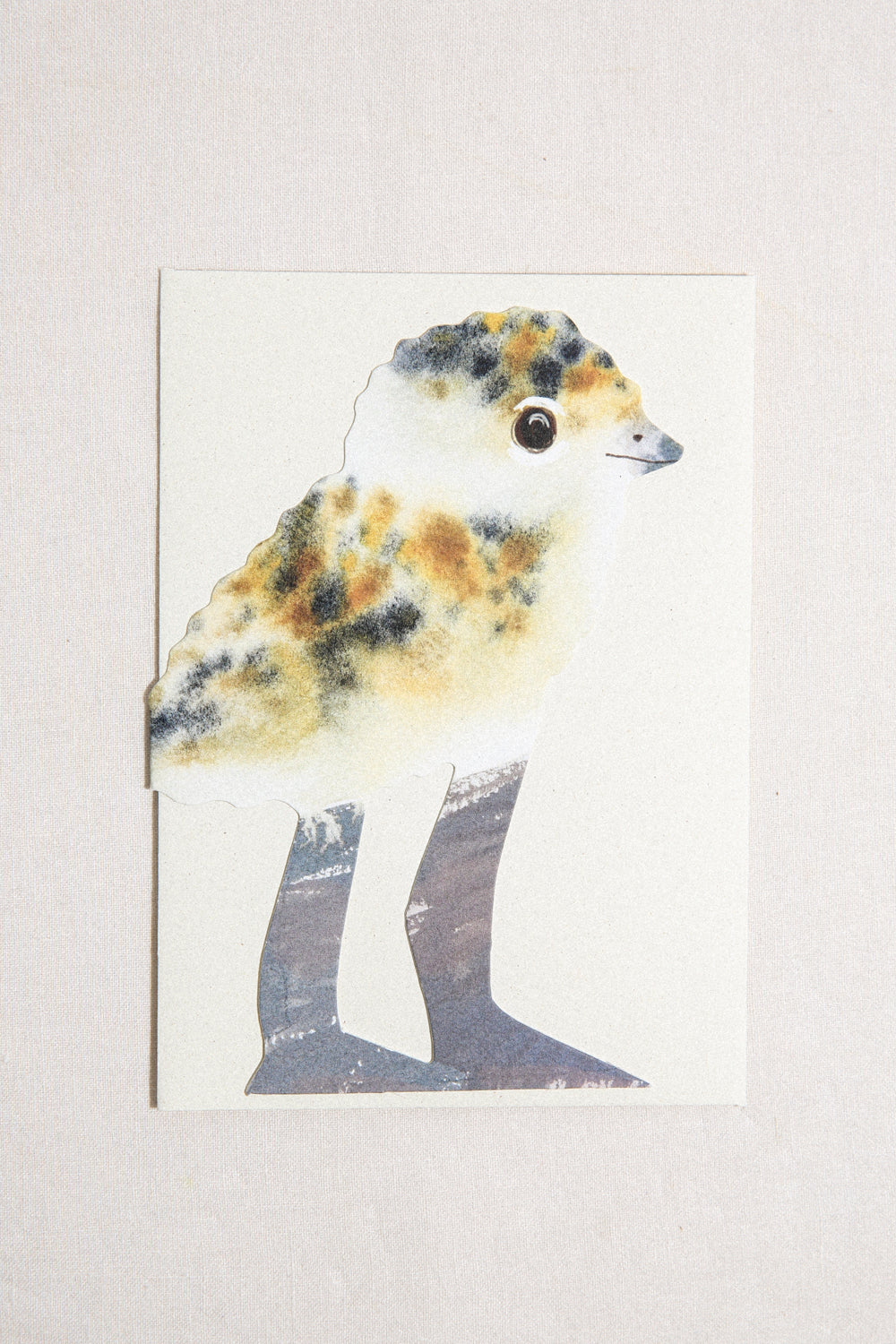 Lapwing Chick Greeting Card