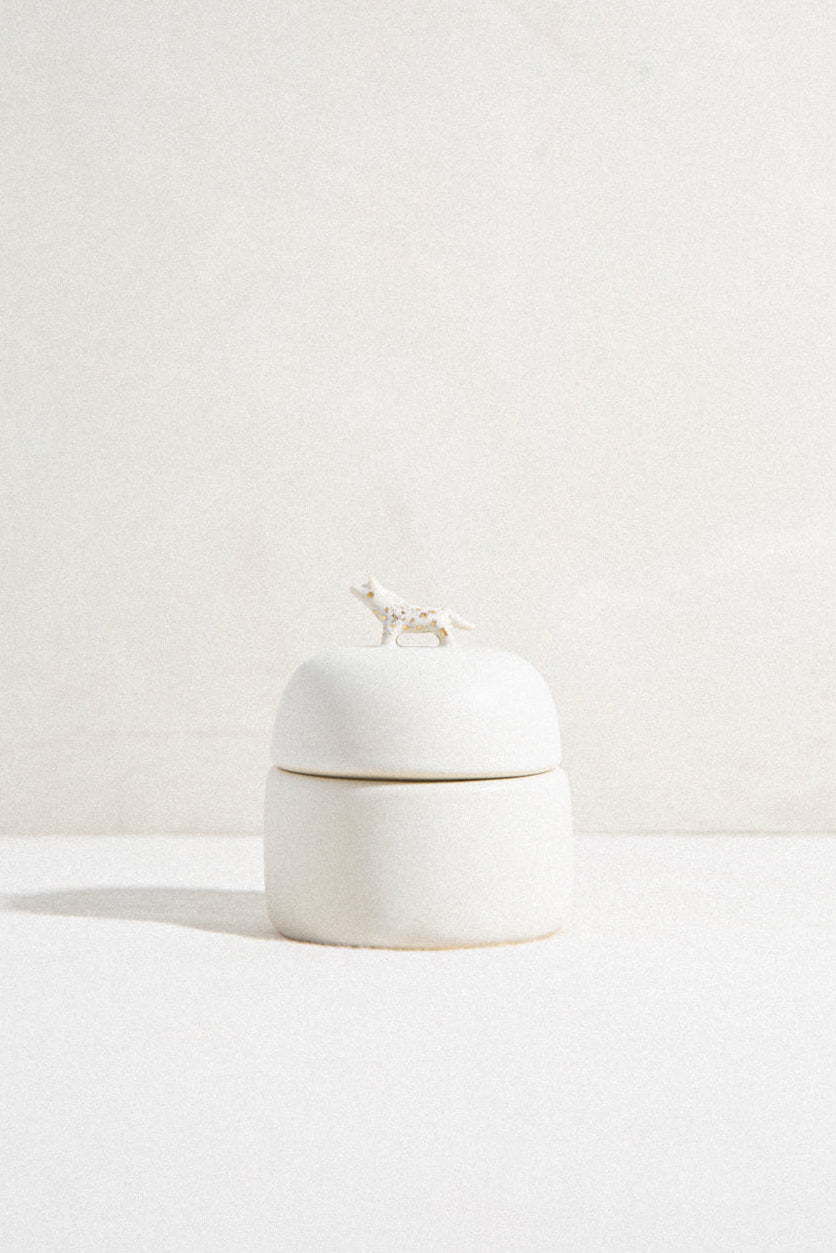June - Animal Jewelry Box