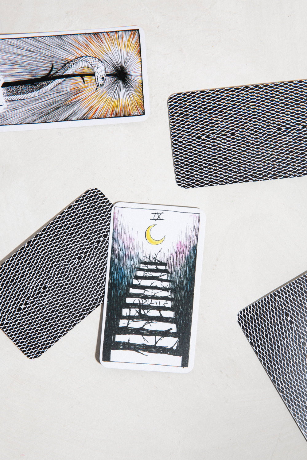 Wild Unknown Pocket Tarot