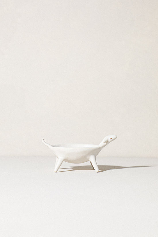 Aloe - Tiny Animal Dish