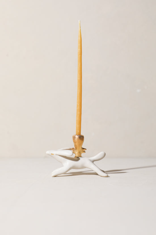 Dill - Animal Candle Holder