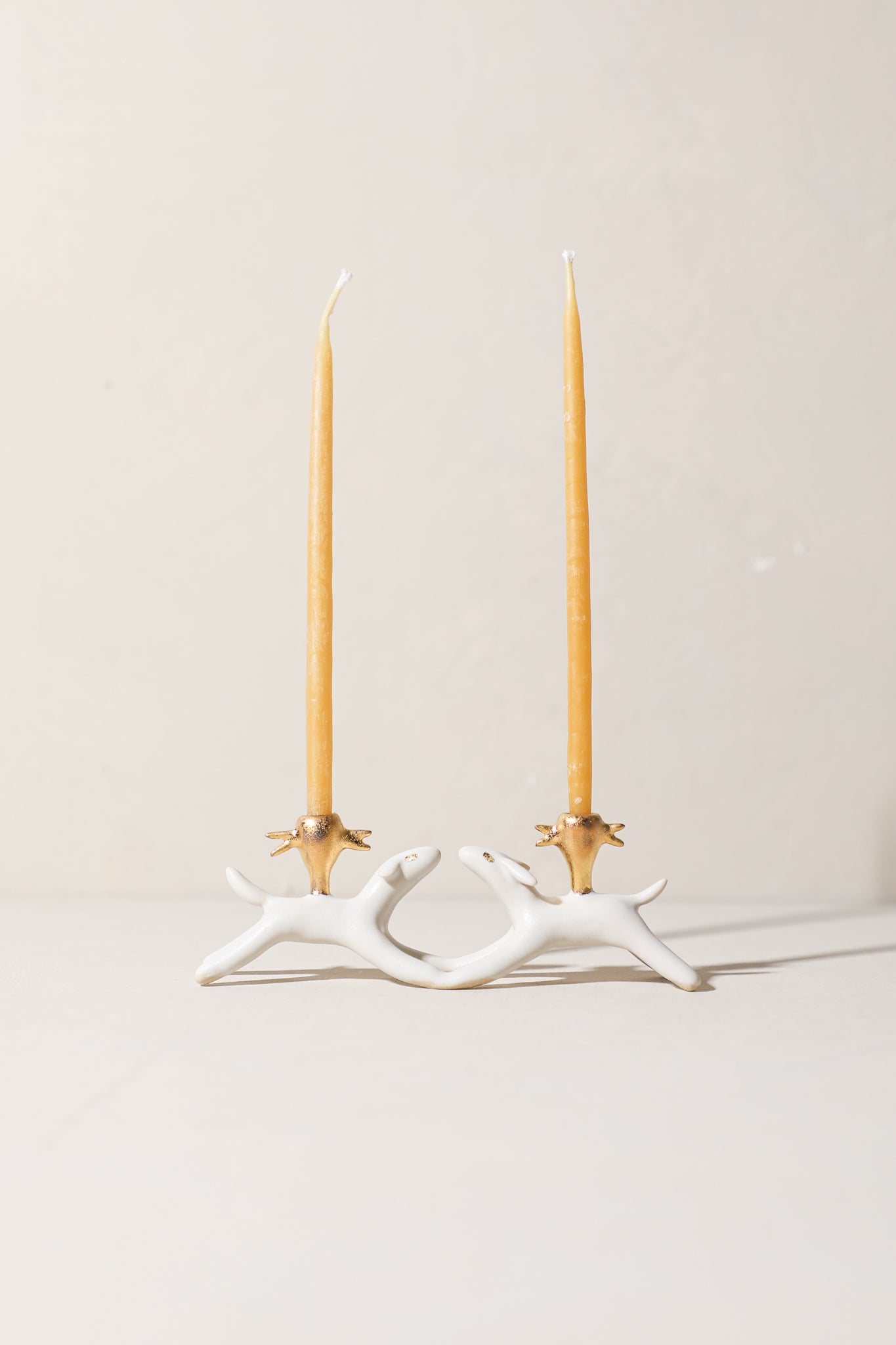 Trout & Salmon - Critter Friends Candle Holder