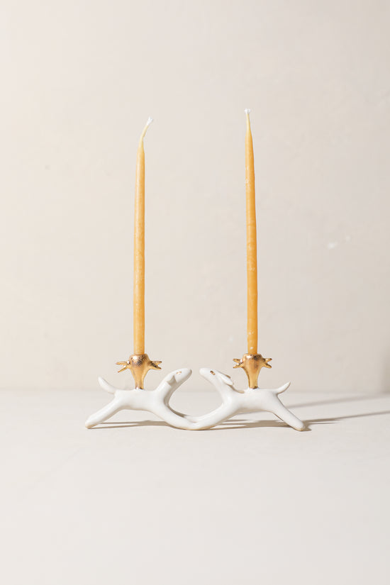 Trout & Salmon - Critter Friends Candle Holder