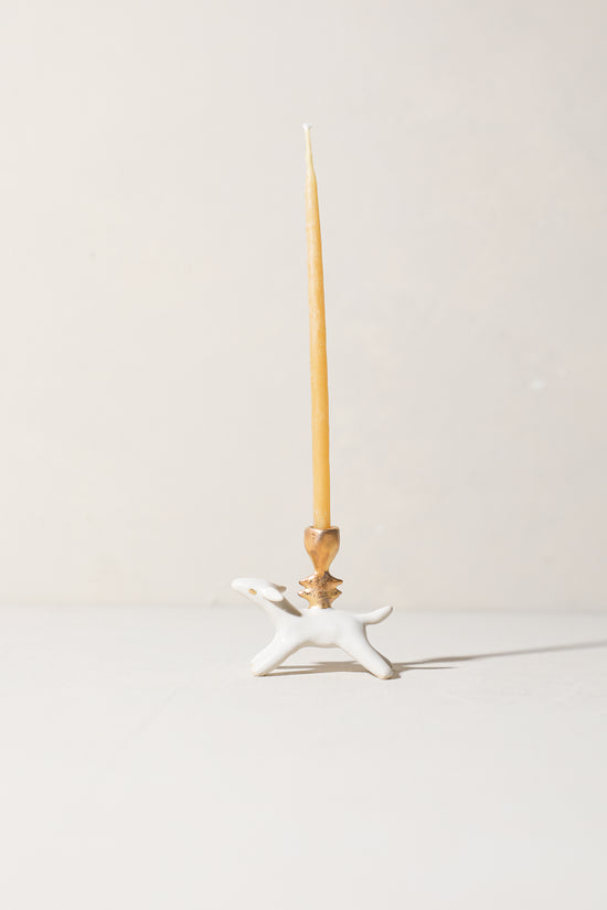Acorn - Animal Candle Holder