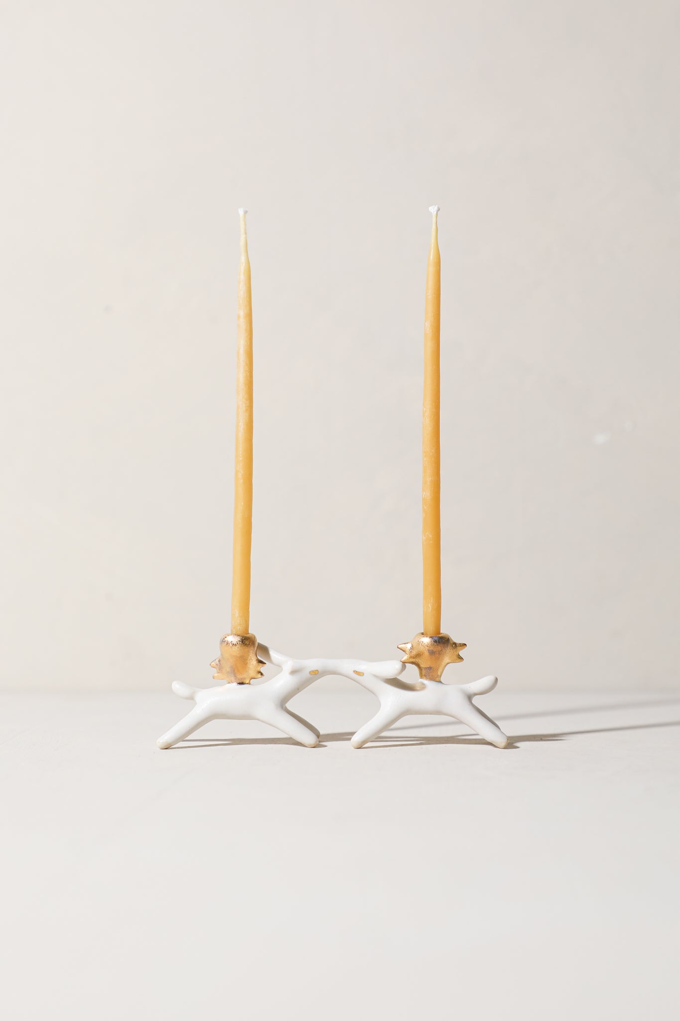 SECONDS - Cedar & Hinoki / Kissing Critters Candle Holder