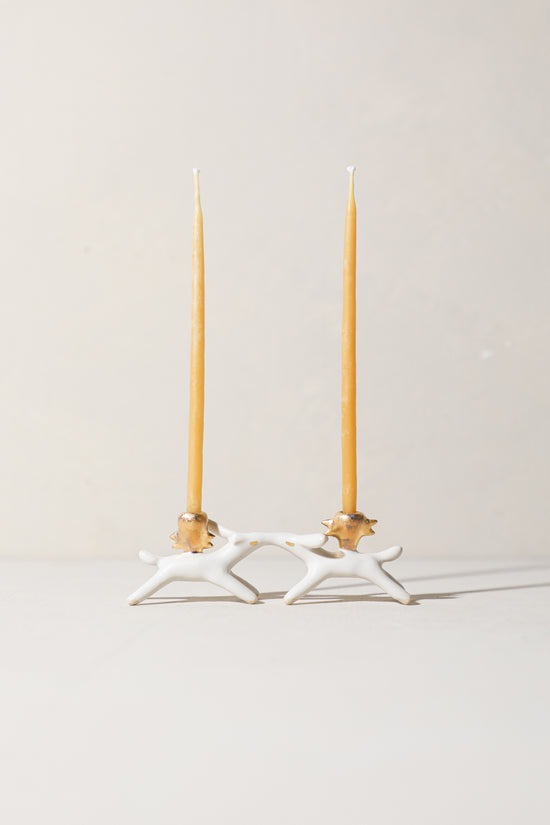 SECONDS - Cedar & Hinoki / Kissing Critters Candle Holder