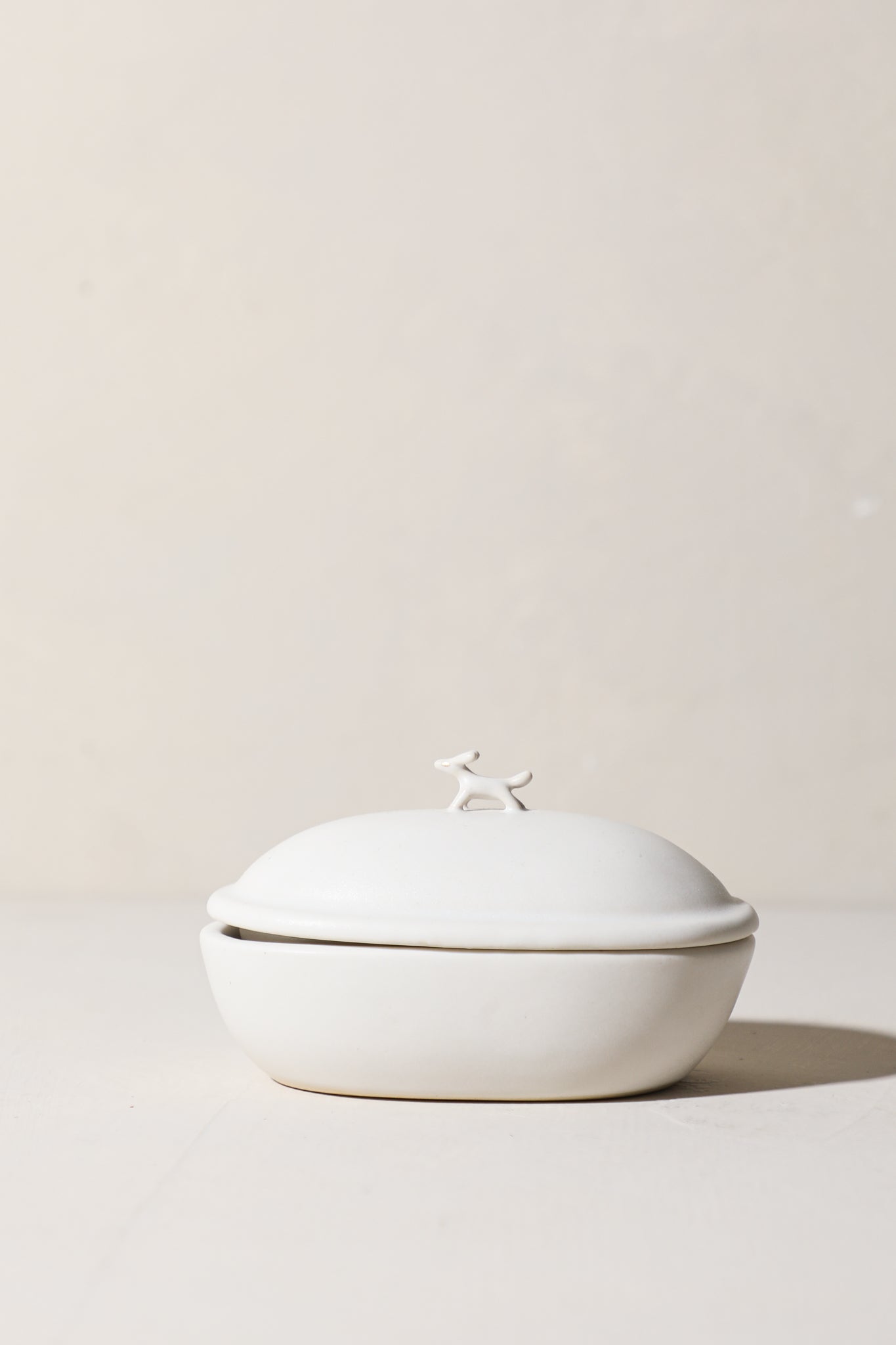 Sturio - Animal Treasure Box