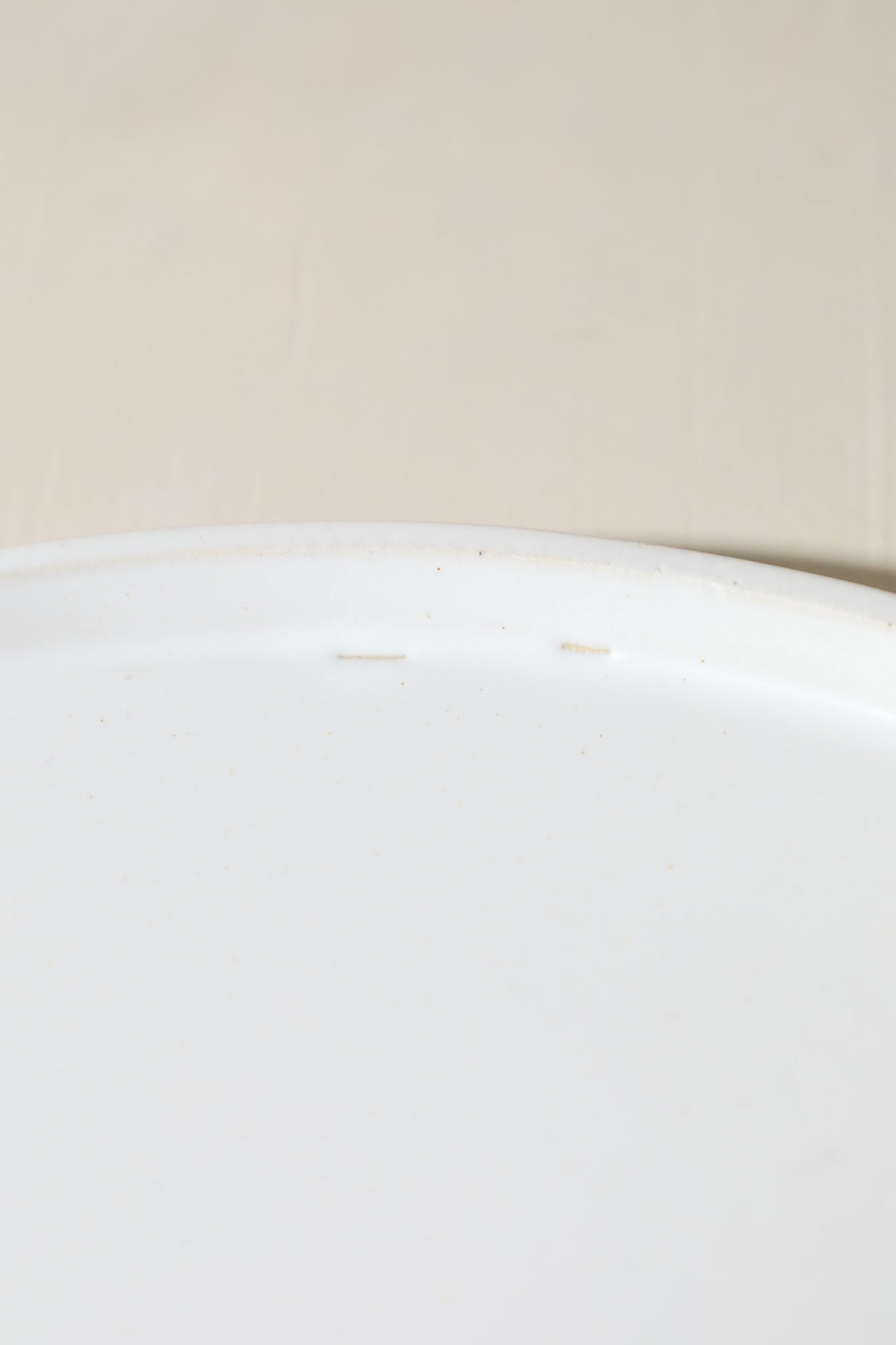 SECONDS - 11" Plate / Snow