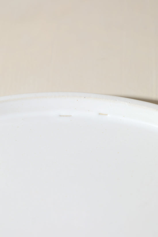 SECONDS - 11" Plate / Snow