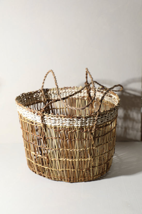 Citrus Basket