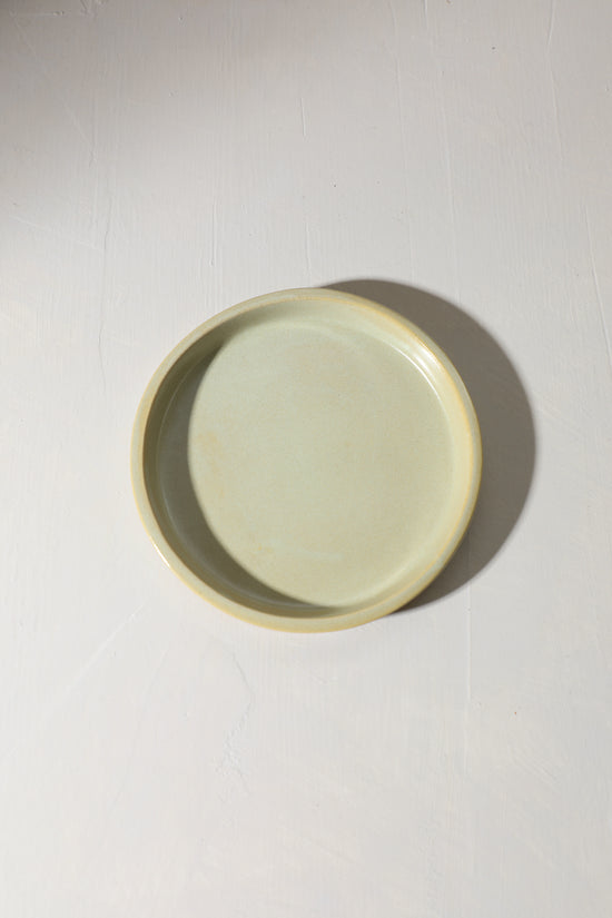 SECONDS - Olive Dish / Pistachio