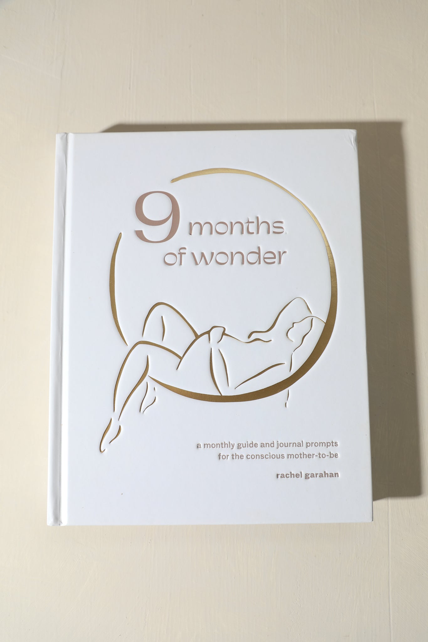 SECONDS - 9 Months of Wonder Journal