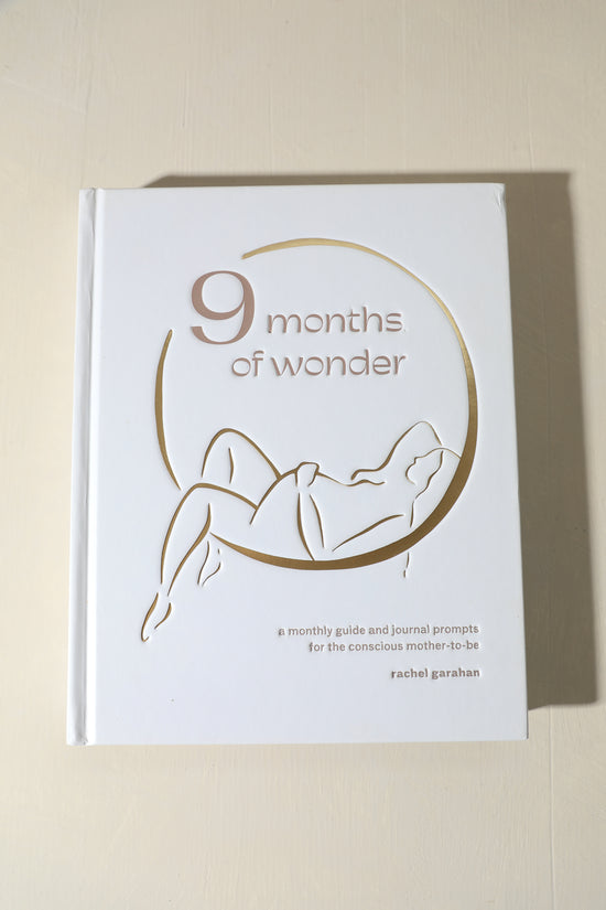 SECONDS - 9 Months of Wonder Journal