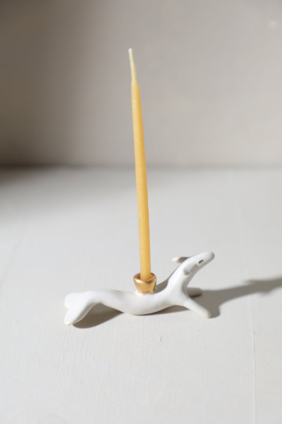 SECONDS - Estero / Animal Candle Holder