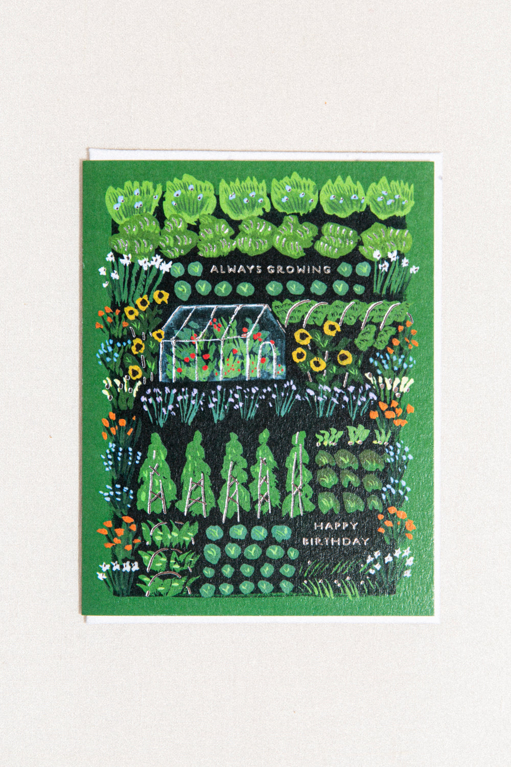 Growing Birthday - Plantable Greeting Card