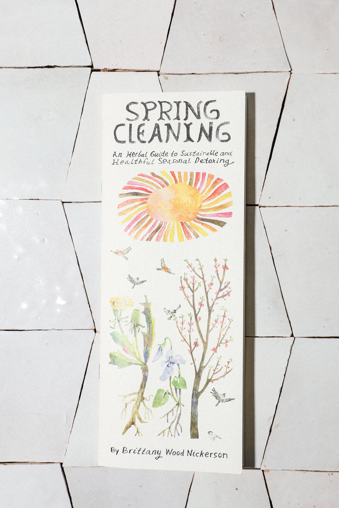 Spring Cleaning Zine