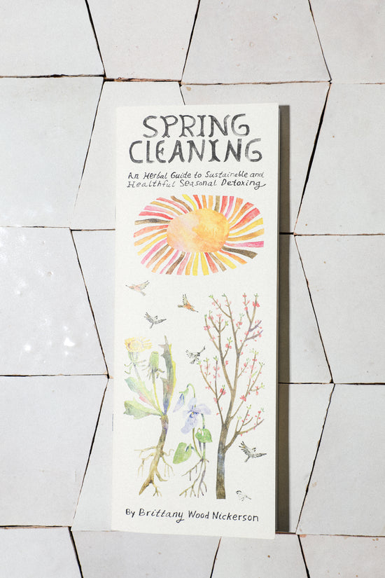 Spring Cleaning Zine