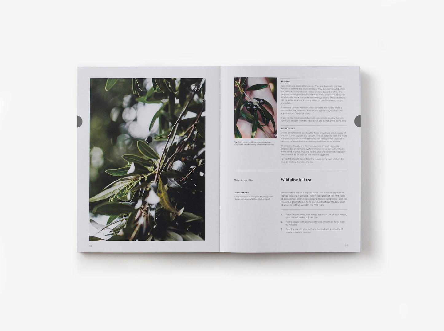 Eat Weeds: A Field Guide To Foraging