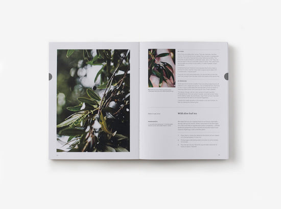 Eat Weeds: A Field Guide To Foraging