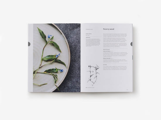 Eat Weeds: A Field Guide To Foraging