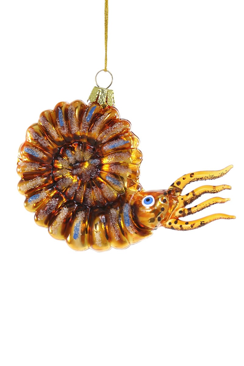 Nautilus Ornament