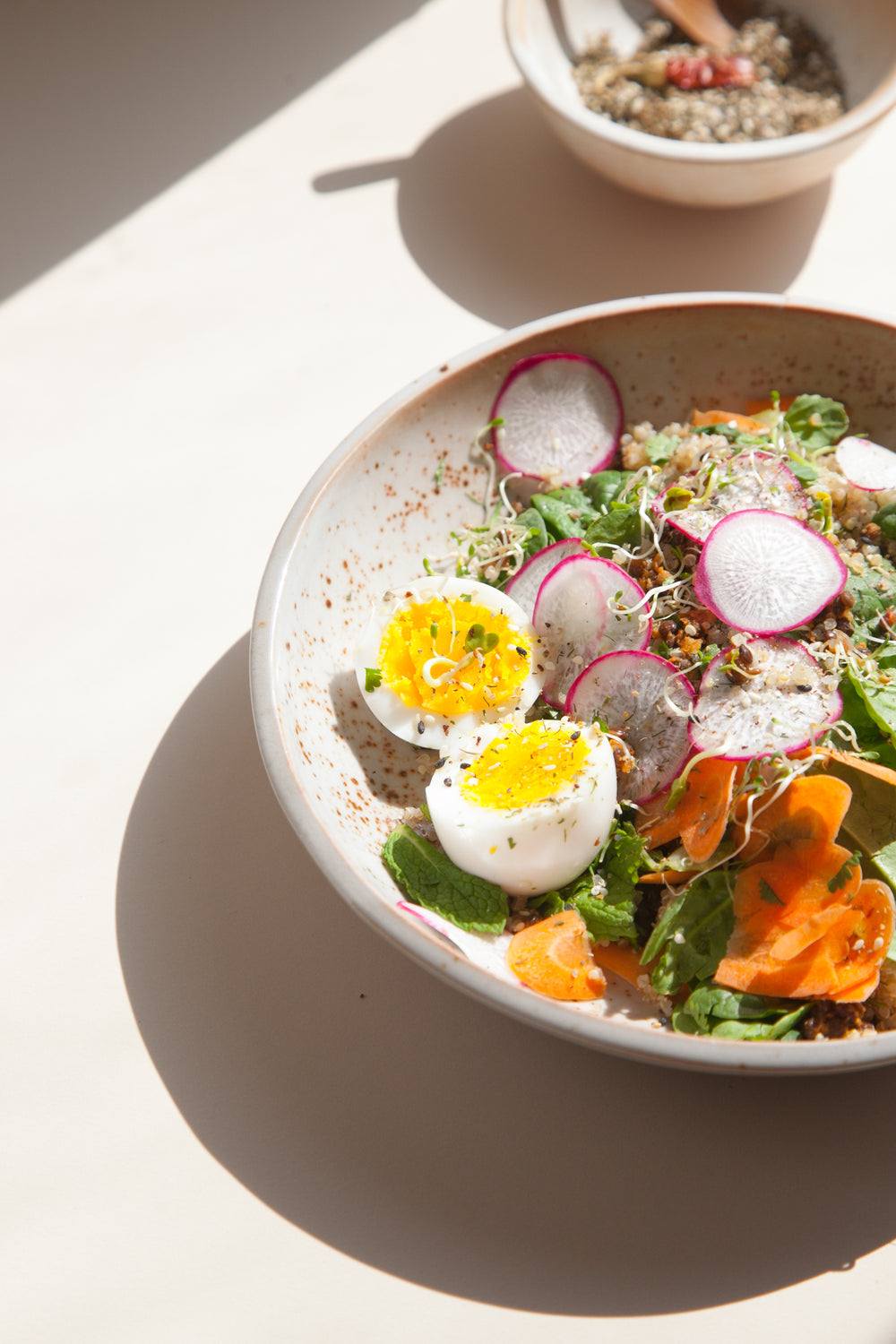 Low Bowl / Shino
