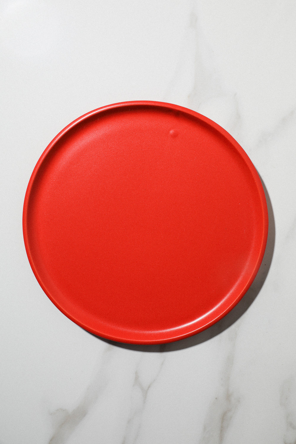 Dinner Plate / Solamen