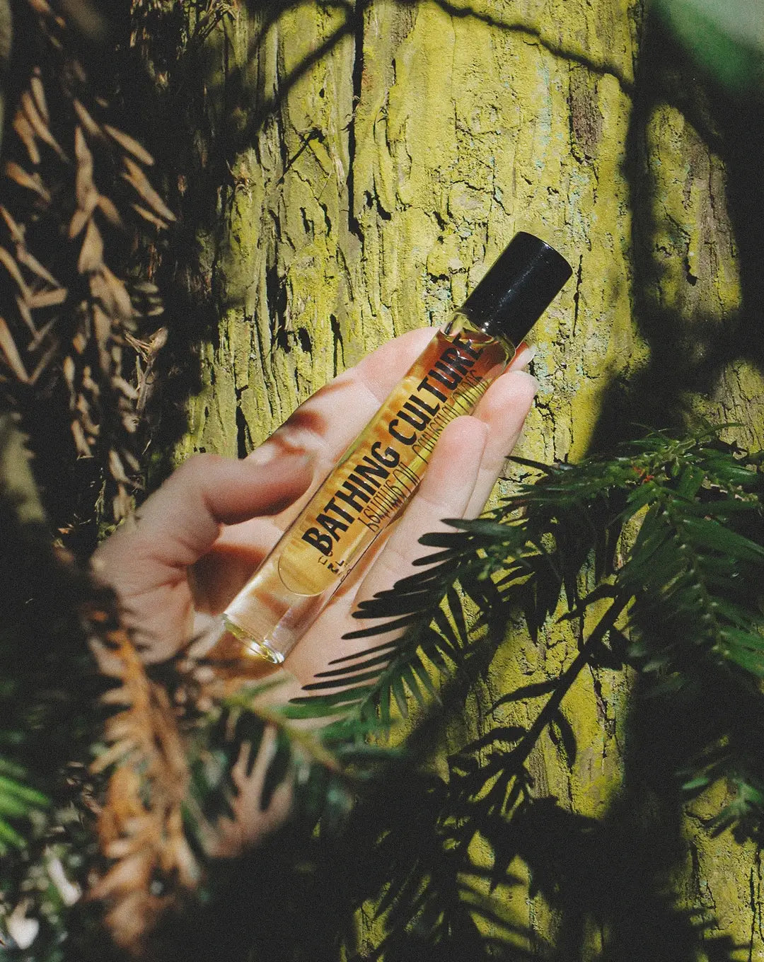 Cathedral Grove Perfume Oil