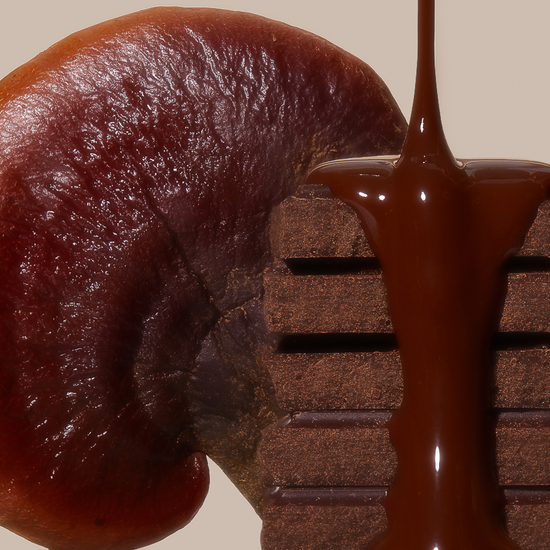 Reishi Dark Chocolate