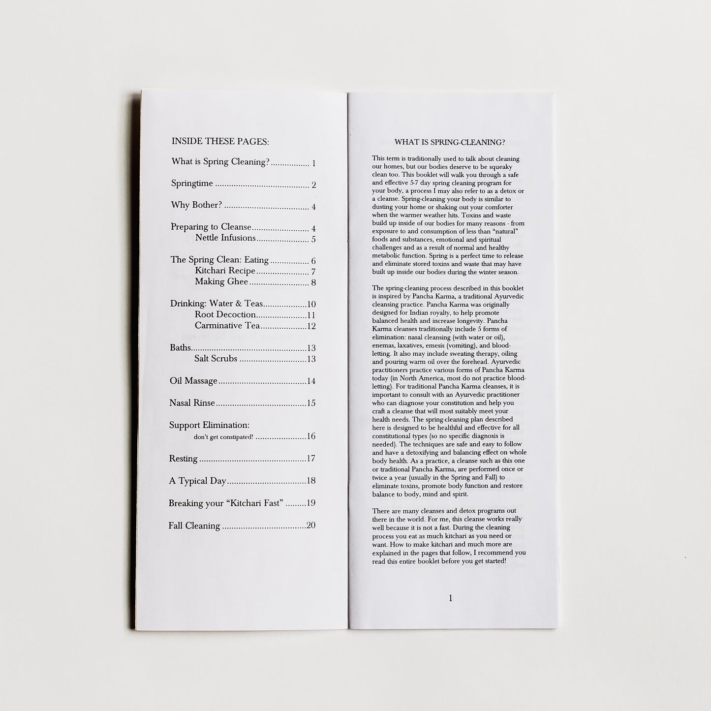 Spring Cleaning Zine