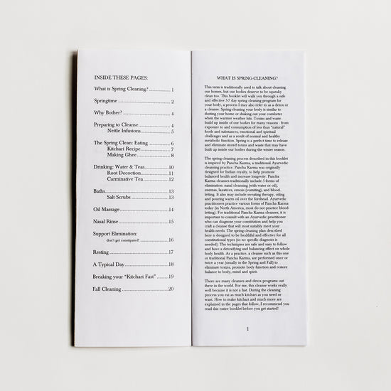 Spring Cleaning Zine
