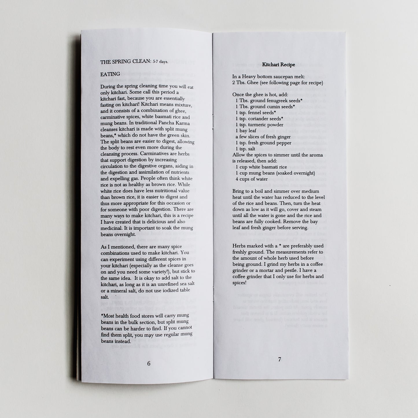 Spring Cleaning Zine
