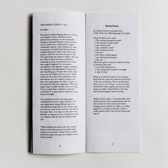 Spring Cleaning Zine