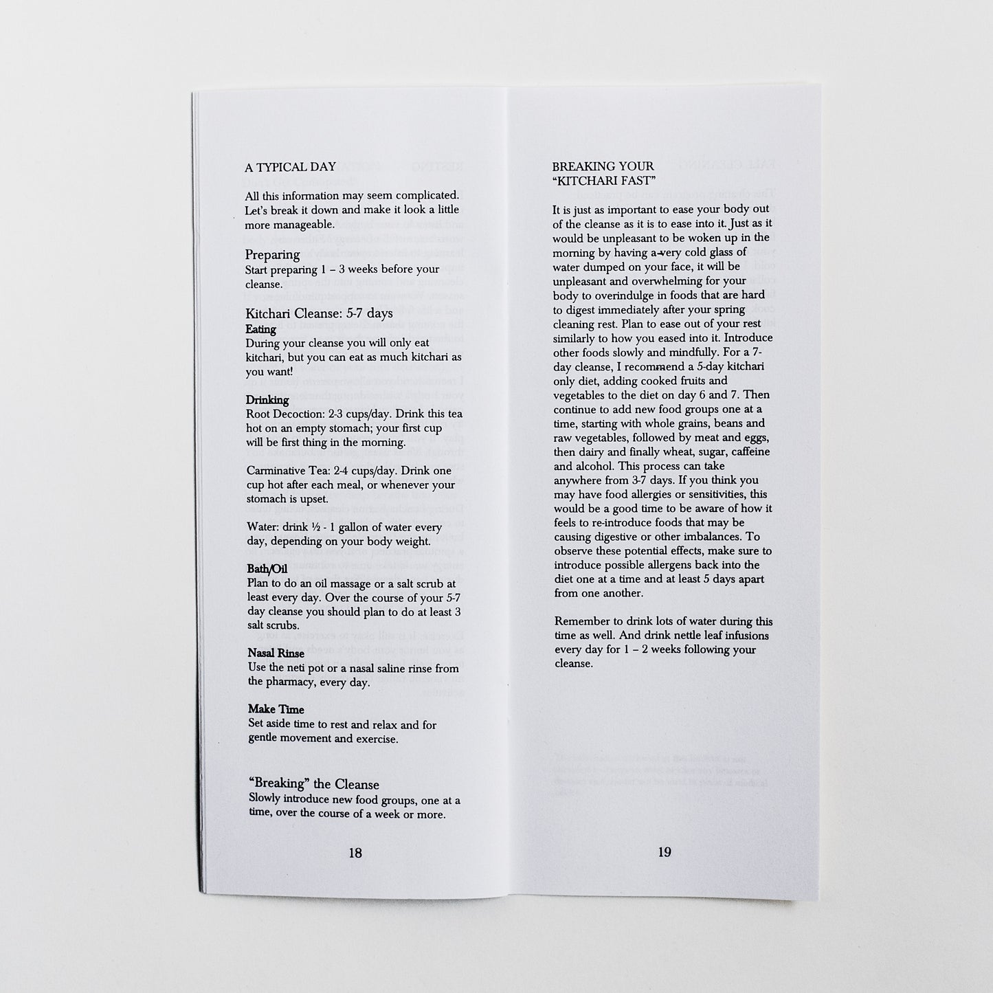 Spring Cleaning Zine