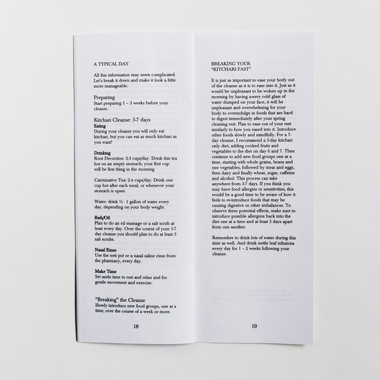 Spring Cleaning Zine
