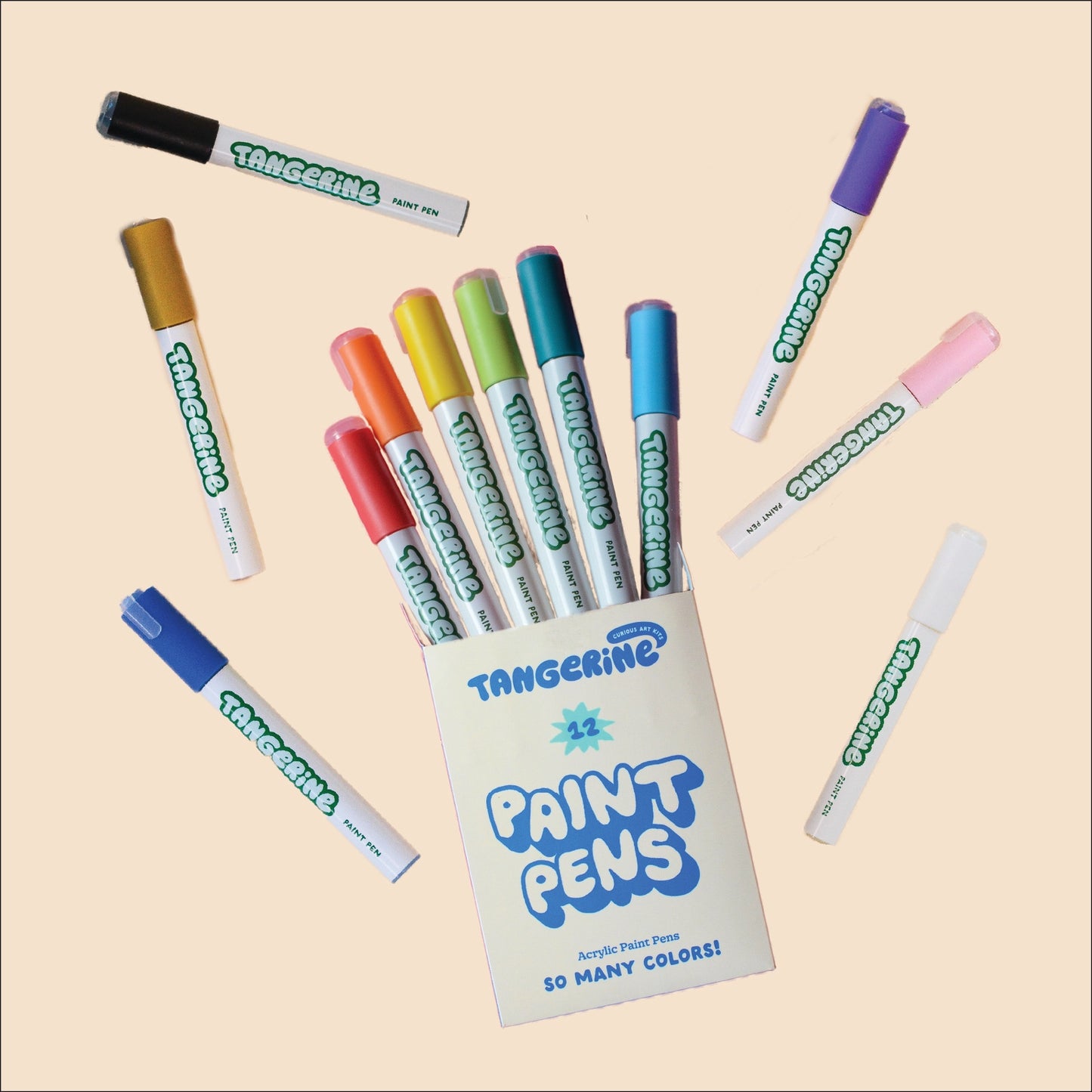 Paint Pen Kit