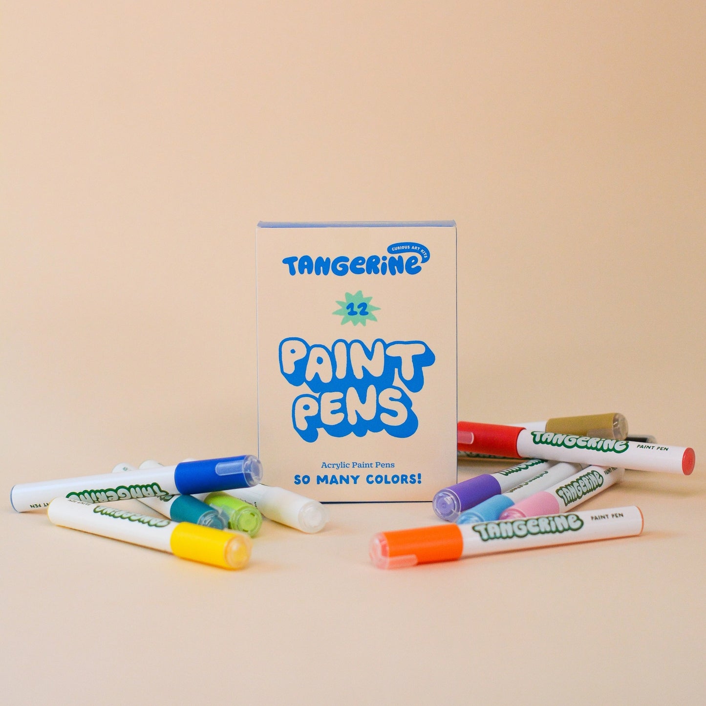Paint Pen Kit