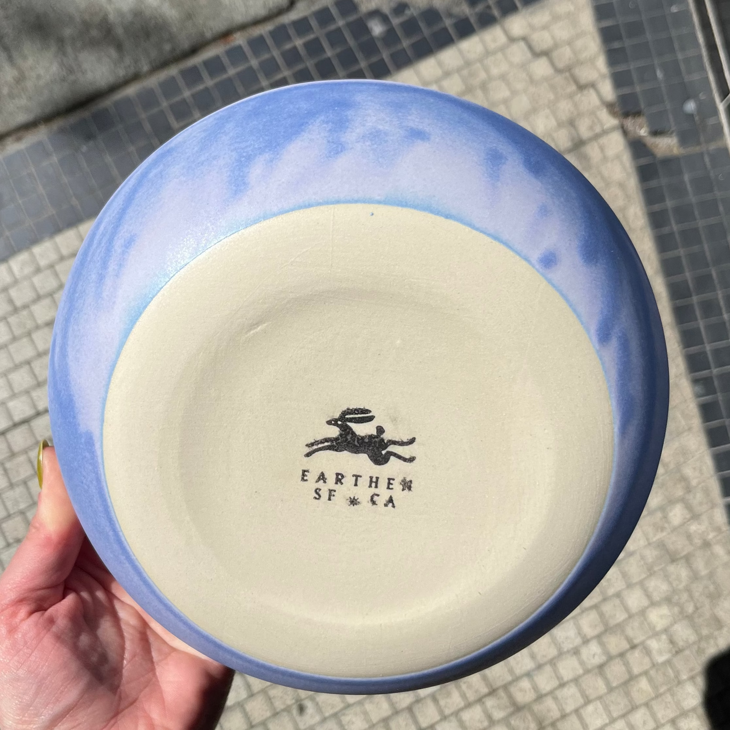 Dinner Bowl / Thistle