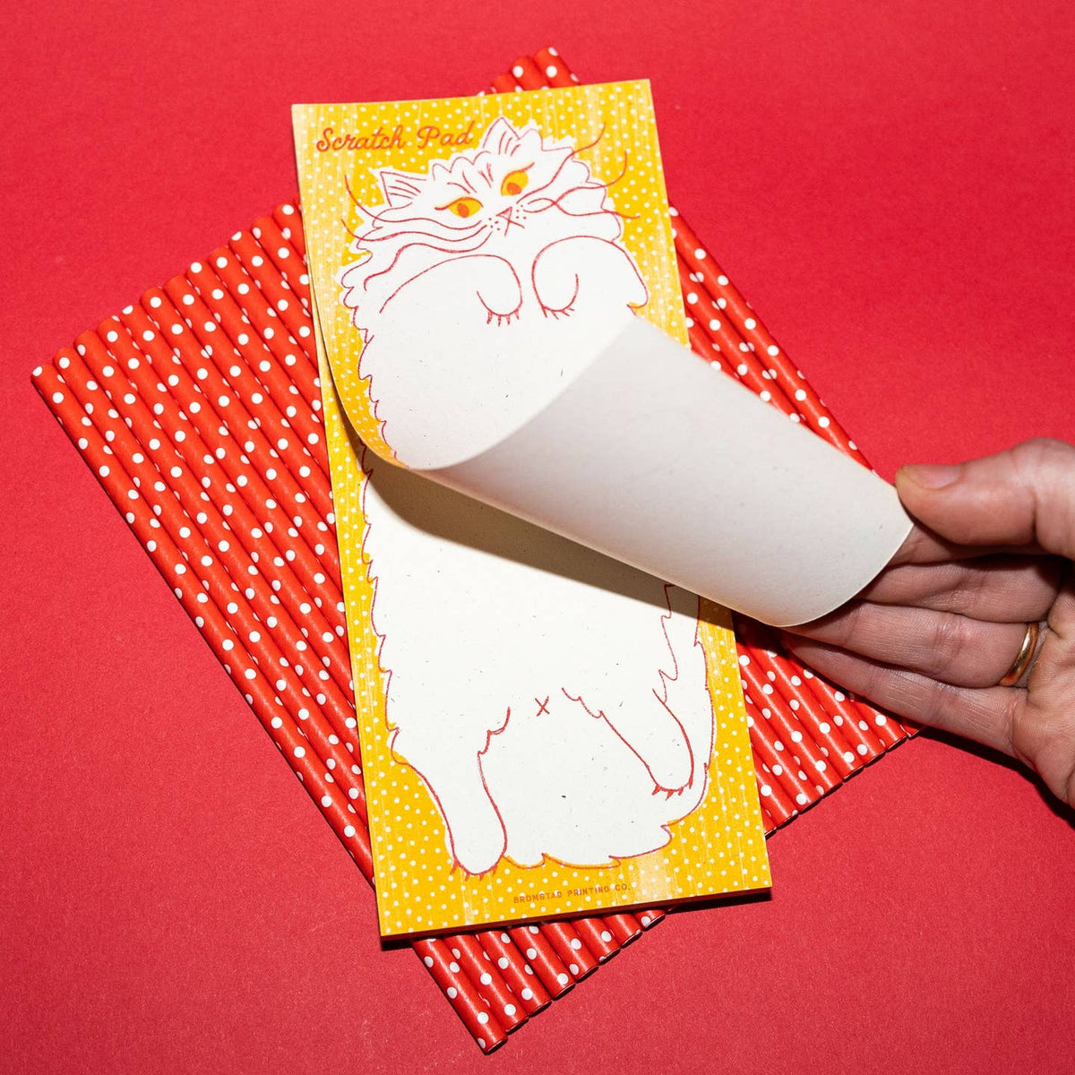Scratch Pad Cat Notepad – Earthen