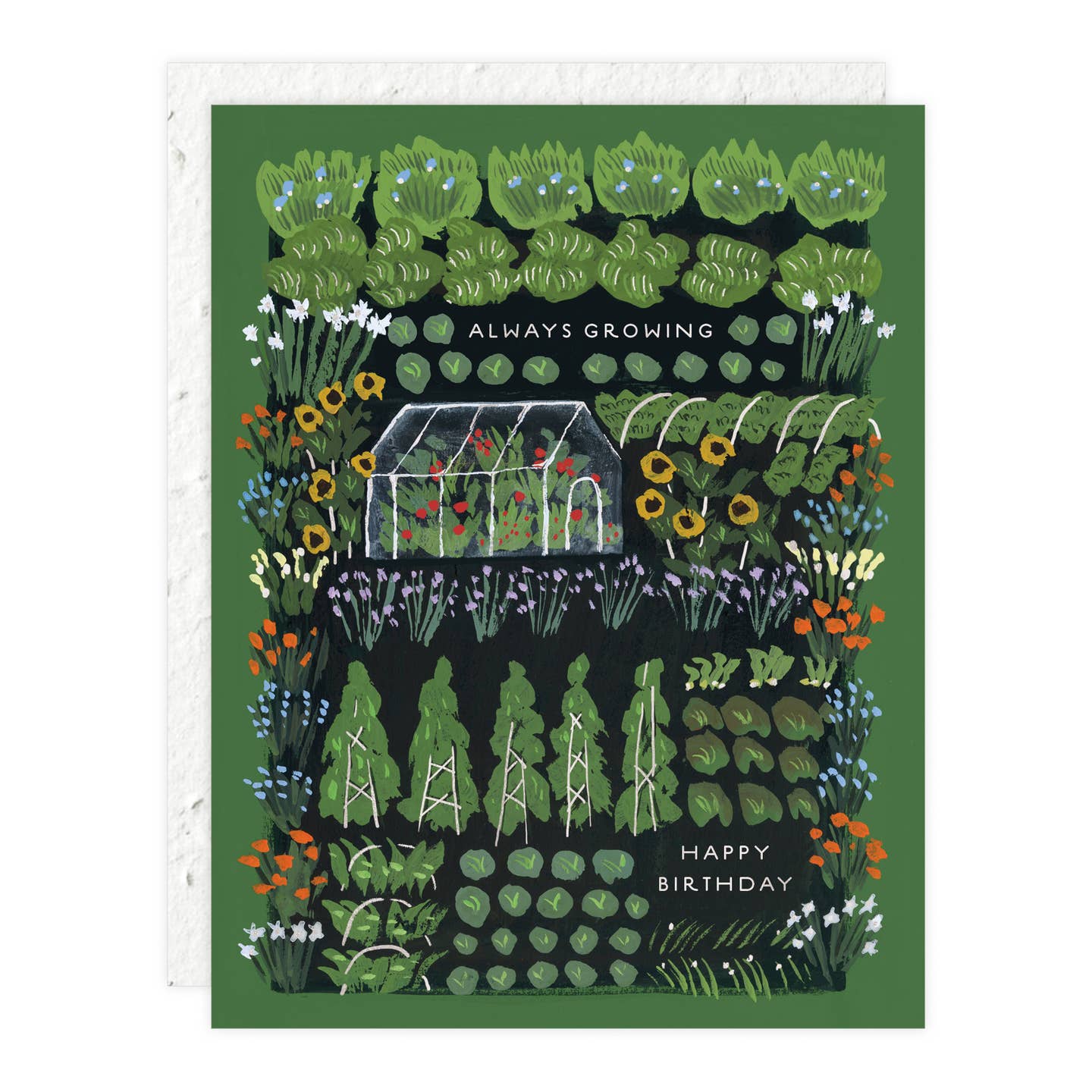 Growing Birthday - Plantable Greeting Card