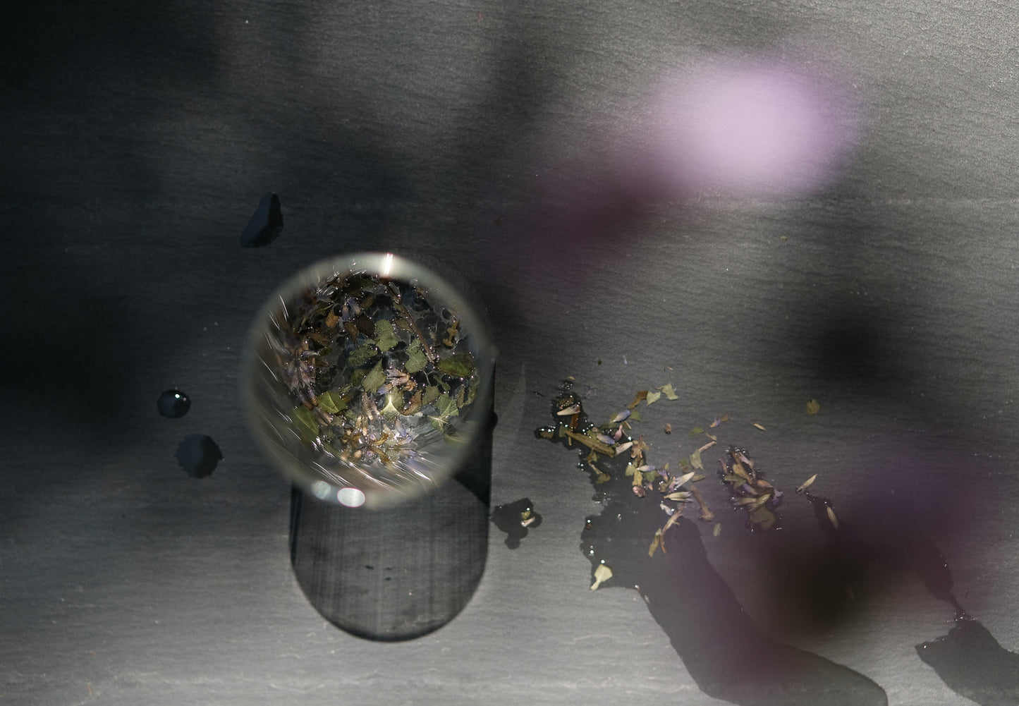 Serenitas Tea