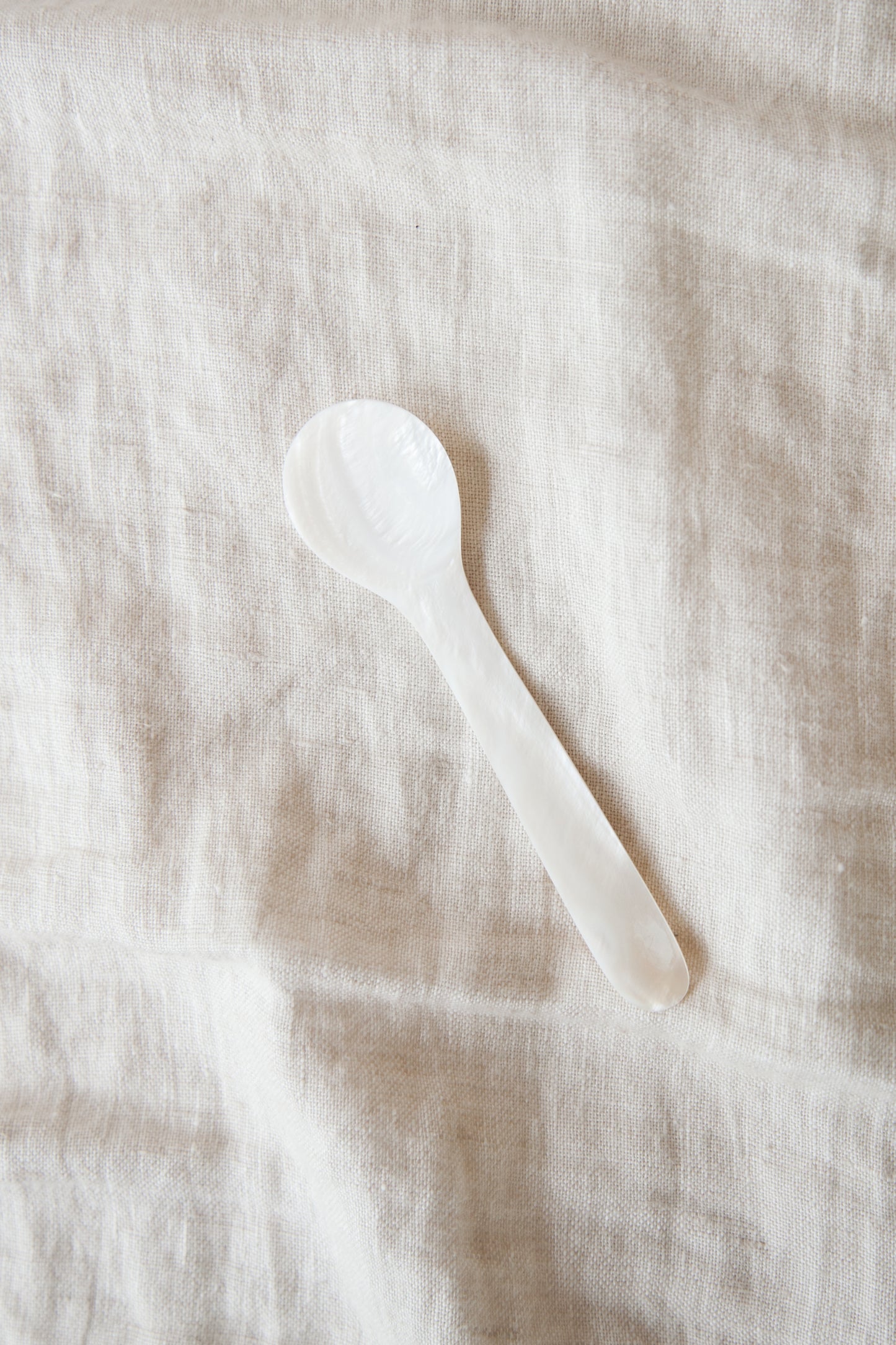 Seashell Dessert Spoon